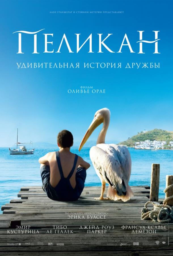 Пеликан 2011 Смотреть Онлайн Бесплатно в Хорошем Качестве